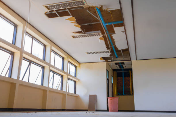 Best Sewage cleanup and water damage restoration  in Greensburg, KY