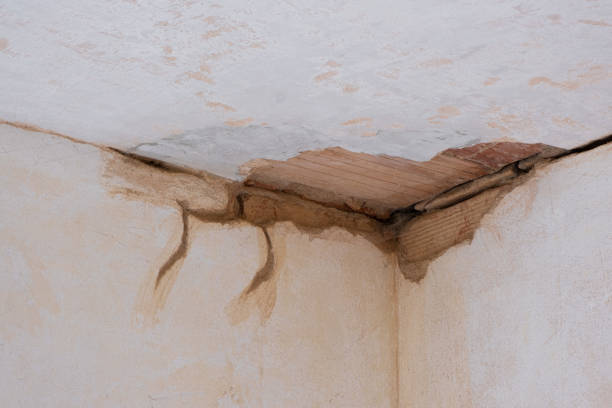 Water damage restoration insurance claims in Greensburg, KY