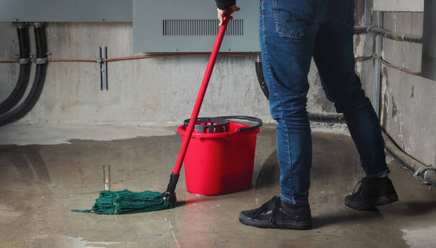 Best Basement water damage restoration  in Greensburg, KY