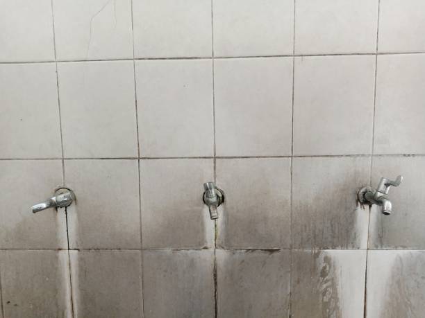 Best Water damage restoration mold remediation  in Greensburg, KY