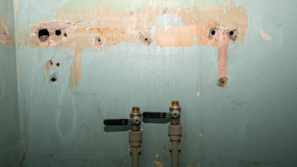 Best Flood restoration services  in Greensburg, KY