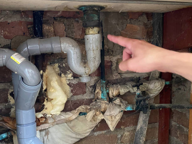 Best 24/7 water damage repair  in Greensburg, KY