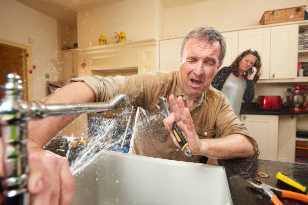 Best Water damage contractors near me  in Greensburg, KY